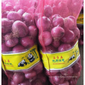 China yellow onion 50-70 mm hot sale, quality fresh red onion export